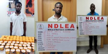 NDLEA Smashes Cartels Behind Six Shipments Of Cocaine To UK, Arrest Baron, Five Other Suspects