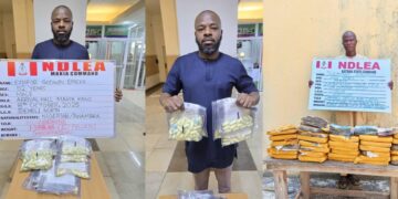 NDLEA Arrests Man For Concealing 127 Wraps Of Cocaine In Pant, Stomach