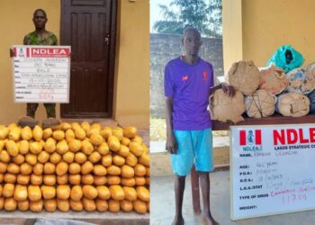 NDLEA Bursts Consignments Of Drugs Going To US, UK, DRC, Arrests Two Suspects