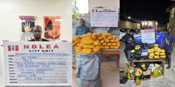 NDLEA Nabs Wanted Drug Baron In Lagos, Recovers $11,600, 2,000 British Pounds; 2,200 Euros, 50 Canadian dollars Cash From His House