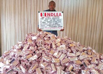 NDLEA Seizes 7.6 million Tramadol Pills, 76,273kg Colorado, Skunk In Delta, Imo, Adamawa