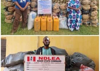 Gamboli, Bandits’ Drug Supplier In Niger State, Arrested By NDLEA,