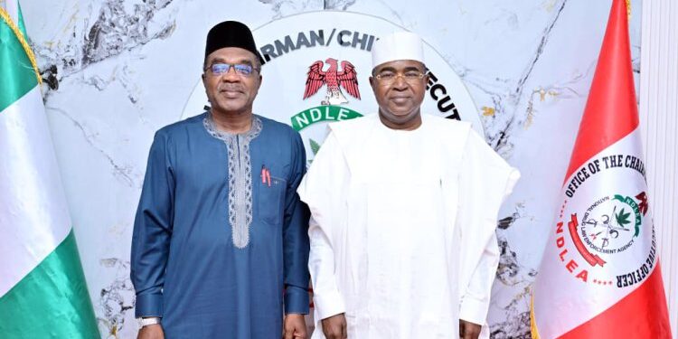 Our New Drug Test Policy For Schools Will Cut Down Substance Abuse Among Youth – Marwa