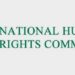 NHRC Condemns Killing Of Kano Housewife, Six Children
