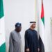 Nigeria To Co-host INVESTOPIA With UAE In February – President Tinubu