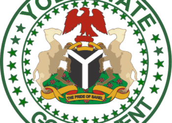 How Kidney Disease Epidemic Exposes Yobe’s Healthcare, Water Challenges By Usman Muntari