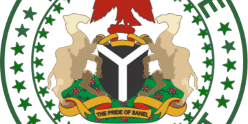 How Kidney Disease Epidemic Exposes Yobe’s Healthcare, Water Challenges By Usman Muntari