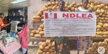 NDLEA Nabs Ibadan Wanted Female Drug Kingpin, ” Mama Kerosine”