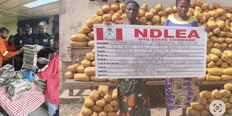 NDLEA Nabs Ibadan Wanted Female Drug Kingpin, ” Mama Kerosine”