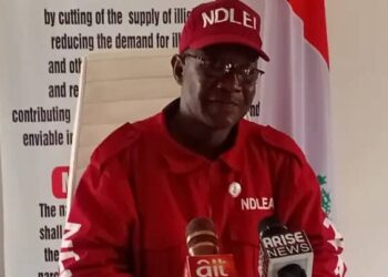 NDLEA Seizes 7,746tonnes Of Illicit Drugs,Arrests 339 Suspects In Kogi