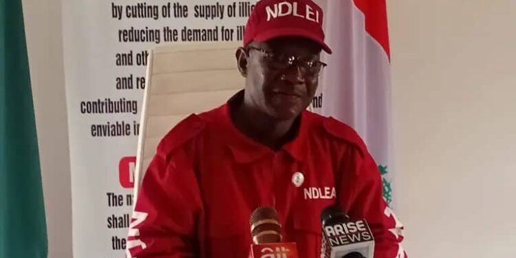 NDLEA Seizes 7,746tonnes Of Illicit Drugs,Arrests 339 Suspects In Kogi