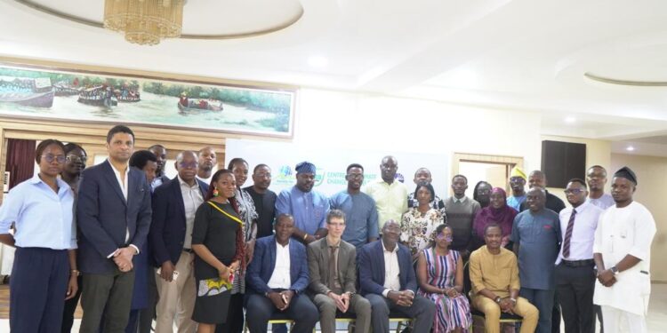 Experts Urge Evidence-Based Energy Reforms As Nigeria’s Transition Debate Intensifies