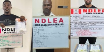 NDLEA Arrests China-based Nigerian, Two Angolans For Excreting 260 Wraps Of Cocaine