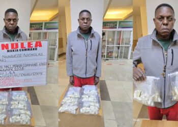 NDLEA Nabs  China-bound Lagos Businessman With 95 Wraps Of Cocaine, Raids Ibadan Colos Factory