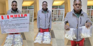 NDLEA Nabs  China-bound Lagos Businessman With 95 Wraps Of Cocaine, Raids Ibadan Colos Factory