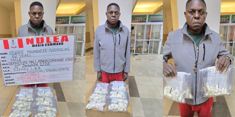 NDLEA Nabs  China-bound Lagos Businessman With 95 Wraps Of Cocaine, Raids Ibadan Colos Factory