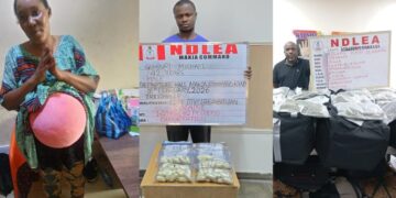 NDLEA Foils Attempt By woman To Use Fake Baby Bump To Smuggle 3,200 Capsules Of Tramadol Out Of Nigeria