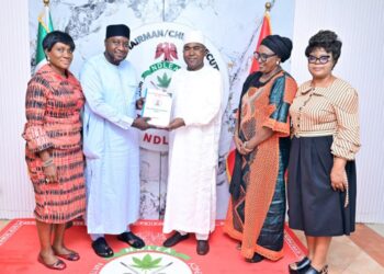 NDCMP 2026-2030 Will Strengthen Nigeria’s Drug Control Efforts – Marwa