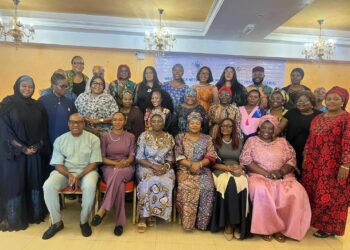 Women’s Inclusion Key To Lasting Peace, Inclusive Governance — WANEP, GNWP