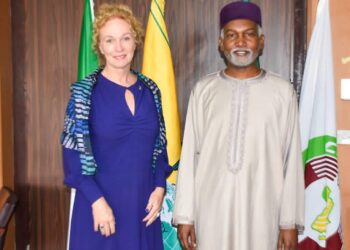 Nigeria, Sweden Deepen Ties On Trade, Innovation, Regional Stability