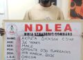 NDLEA Uncovers 237 Wraps Of Cocaine Concealed In Heads Of Stockfish, Arrests Key Suspect