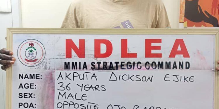 NDLEA Uncovers 237 Wraps Of Cocaine Concealed In Heads Of Stockfish, Arrests Key Suspect