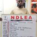 NDLEA Uncovers 237 Wraps Of Cocaine Concealed In Heads Of Stockfish, Arrests Key Suspect