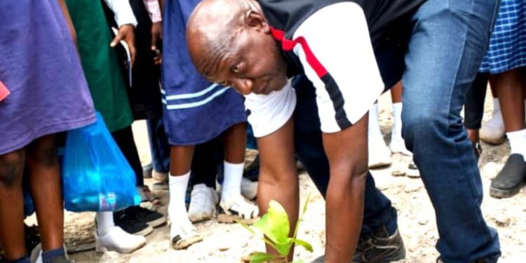 World Forests Day : Dangote Cement Transport Embarks On Large-Scale Tree Planting At Obajana