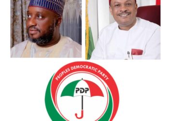 PDP Re-Elects Mohammed, Anyanwu As Chairman, Secretary