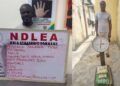 13 Years After, NDLEA Nabs Wanted Lagos Drug Kingpin, Reginald Peter Chidiebere