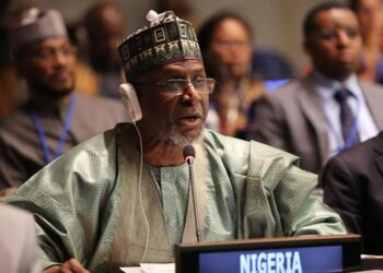 Nigeria Unveils $1bln Forest Rescue Plan To Combat Climate Crisis, Halt Rapid Deforestation