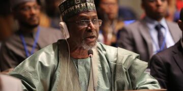 Nigeria Unveils $1bln Forest Rescue Plan To Combat Climate Crisis, Halt Rapid Deforestation