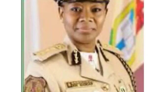 NIS Goes Tough on Alleged Extortion At Lagos-Seme Border, Suspends Controllers, Orders Probe