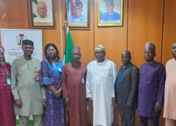 FG Inaugurates Gas-to-Power Monitoring Committee To Tackle Poor Electricity Supply