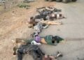 Troops Repel Attack On Army Location In Yobe, Kill 24 Terrorists, Recover Arms Cache