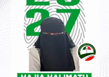 Woman In Purdah Joins Race For Kwara Central Senate Seat