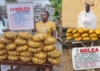 Lagos Pastor, Wife In NDLEA Net Over 11kg Skunk, Arrests Kingpin Behind Cocaine In Tins Of Palm Kernel Oil