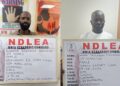 NDLEA Intercepts 2.8kg Cocaine Heading To UK, Arrest Lagos Fashion Designer Over Importation Of 2.90kg Loud From America