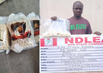 Again, NDLEA Intercepts Deadly Terror Drug, ‘Captagon’, In Kwara, Nigeria