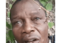 Tinubu Promises Rescue Of Abducted Oyo Pupils, Teachers, Condemns Killing Of Victim