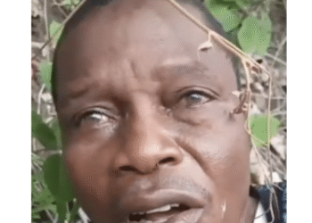 Tinubu Promises Rescue Of Abducted Oyo Pupils, Teachers, Condemns Killing Of Victim