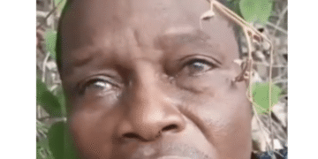 Tinubu Promises Rescue Of Abducted Oyo Pupils, Teachers, Condemns Killing Of Victim