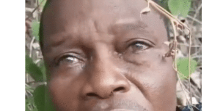 Tinubu Promises Rescue Of Abducted Oyo Pupils, Teachers, Condemns Killing Of Victim