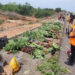 FRSC Confirms 16 Dead In Accident On Lokoja–Okene Highway