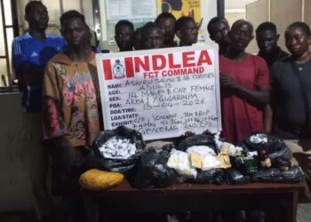 NDLEA In Major Offensive Against Abuja Drug Kingpins, Arrests 132 Suspects, Seizes 220kg Illicit Substances, Dismantles Major Bunks