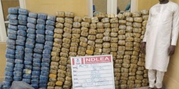 NDLEA Raids Lagos Courier Company, Recovers UK, Australia-bound Cocaine, Opioid Consignments