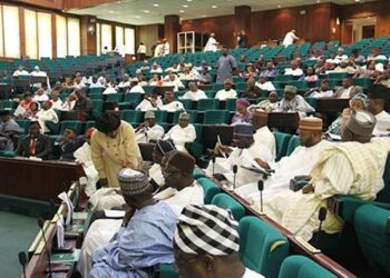 Reps Amend Constitution To Accommodate Establishment Of State Police