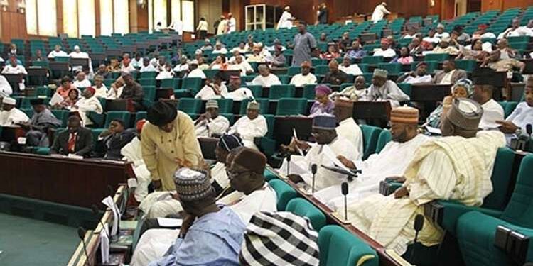 Reps Amend Constitution To Accommodate Establishment Of State Police