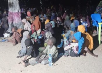 How We Execute Intelligence-led Operation, Free 360 Kidnap Victims From JAS Enclave In Borno – OPHK