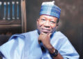 NILDS Director-General In Trouble With Governing Council Over Alleged Political Activities